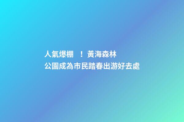 人氣爆棚！黃海森林公園成為市民踏春出游好去處